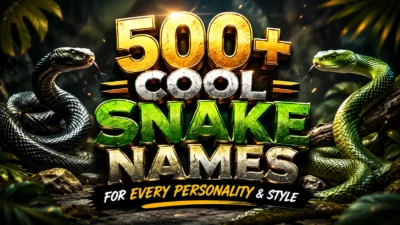 500+ Cool Snake Names for Every Personality & Style