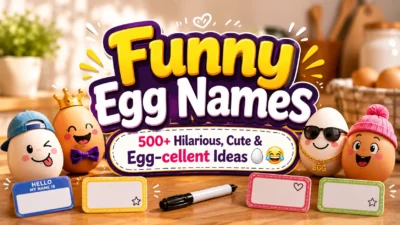Funny Egg Names 500+ Hilarious, Cute & Egg-cellent Ideas 🥚😂